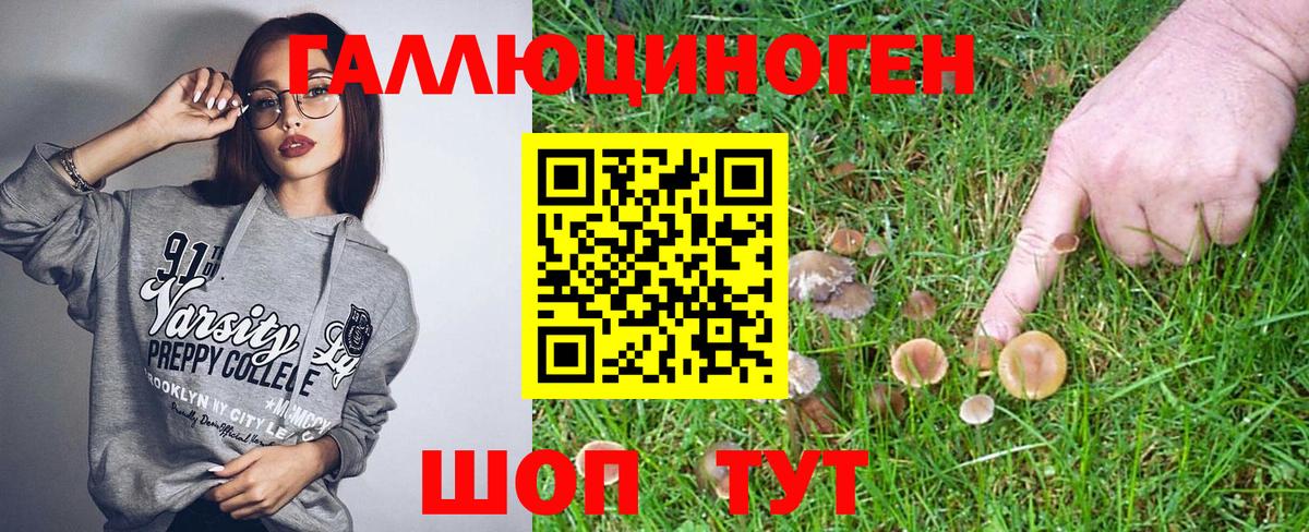 Фурманов  Галлюциногенные грибы прущие грибы  Псилоцибиновые грибы Magic Shrooms  Вход с VPN 